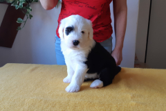 Augustina-4-tydny-3